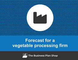 Financial forecast for a vegetable processing firm
